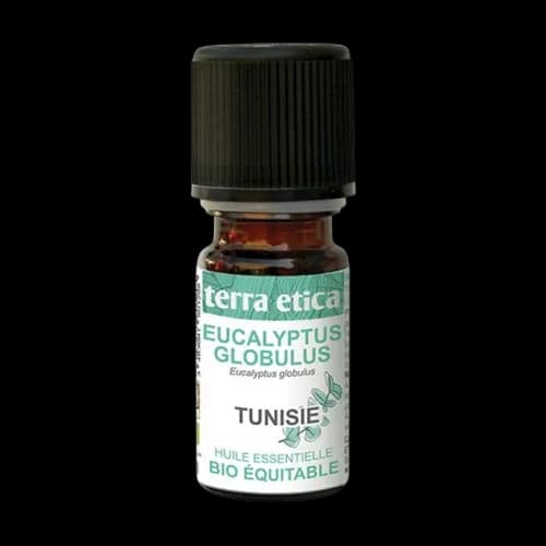 Huile Essentielle Eucalyptus Globulus – 5ml