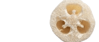 LOOFAH_NATURELLE_COURGE-removebg-preview